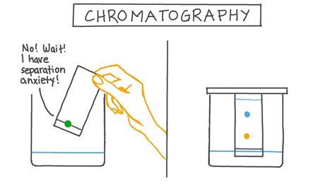 Lesson Video: Chromatography .